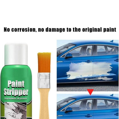 Paint Stripper 100ml Pack of 1